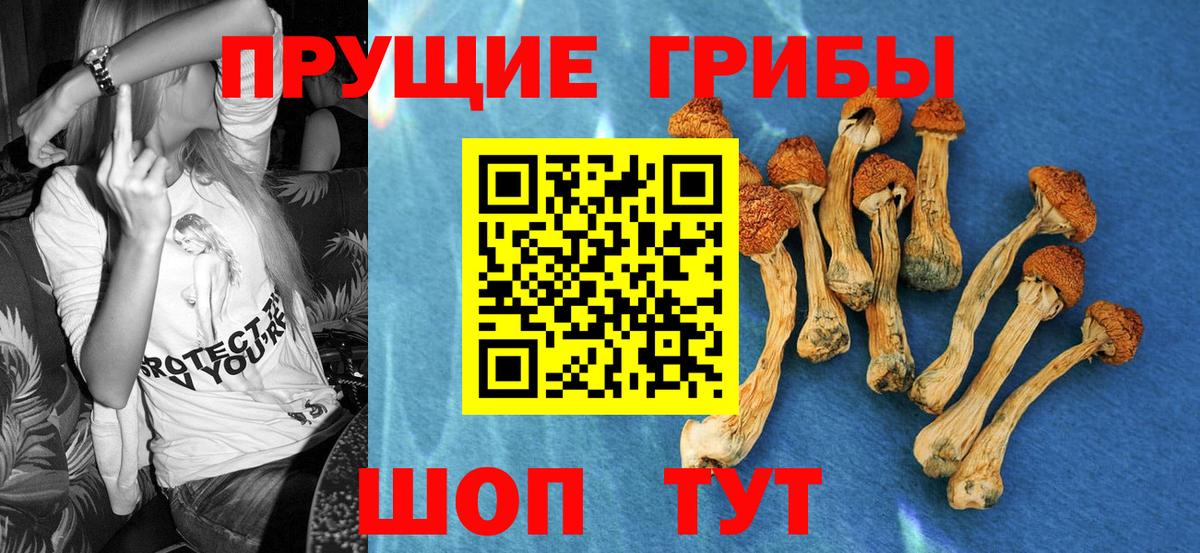 Галлюциногенные грибы Psilocybine cubensis  Вход с VPN  закладки  Десногорск 
